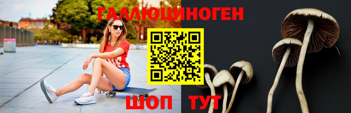 наркотики  Галлюциногенные грибы Cubensis  Вход с VPN  Конаково 